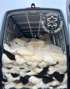 Fåreskind - forretningsrejse med fåreskind fra Adam Leather i Wien