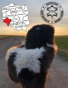 Fåreskind - Økologiske og naturlige fåreskind - garveri, Niederschlesiske Voivodeship - Polen